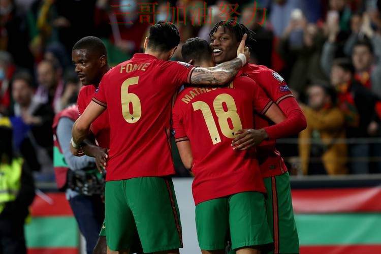 世界杯官方信息期间热门世界杯投注平台整理与直播入口分析